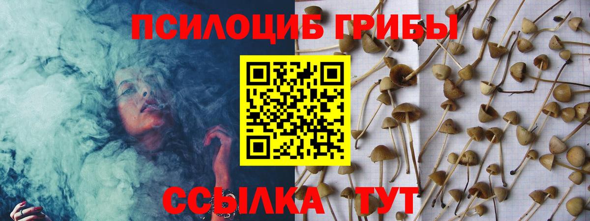 Псилоцибиновые грибы Magic Shrooms Волжск