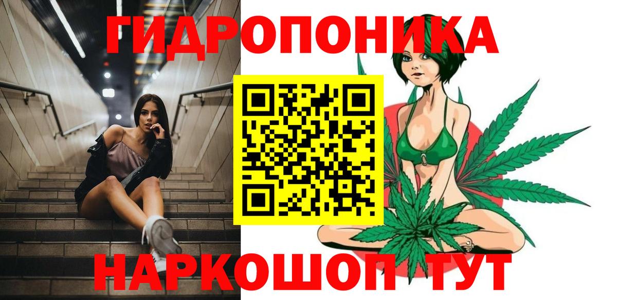 Волжск  Бошки марихуана конопля  Шишки марихуана тримм  МАРИХУАНА ГИДРОПОН  МАРИХУАНА SATIVA & INDICA  Вход с VPN 